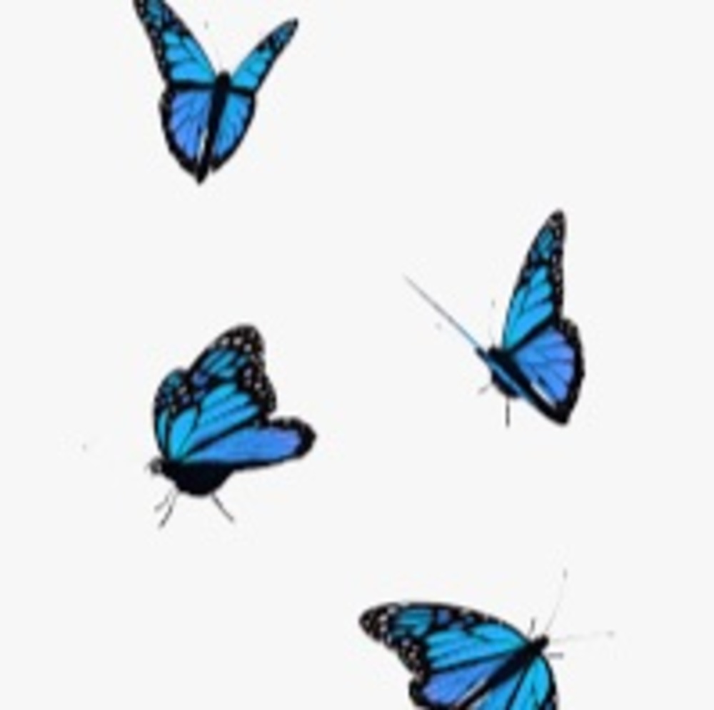 Meet your Posher, Lyssa